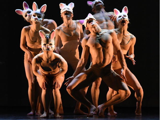 Momix - Alice Momix - Alice