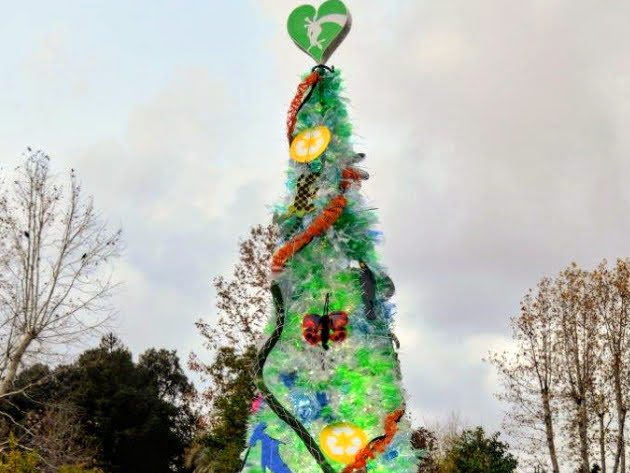 Albero Bioparco 2022 @Massimiliano Di Giovanni – Archivio Bioparco Albero Bioparco 2022 @Massimiliano Di Giovanni – Archivio Bioparco