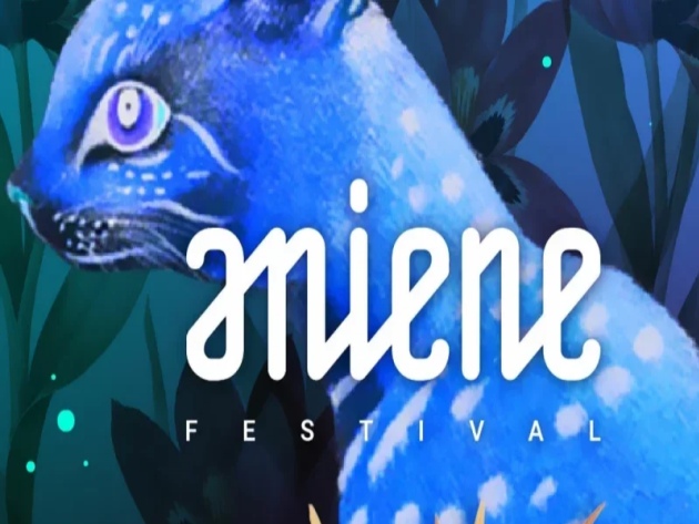 Aniene Festival 2025-Foto: pagina ufficiale Facebook della manifestazione
