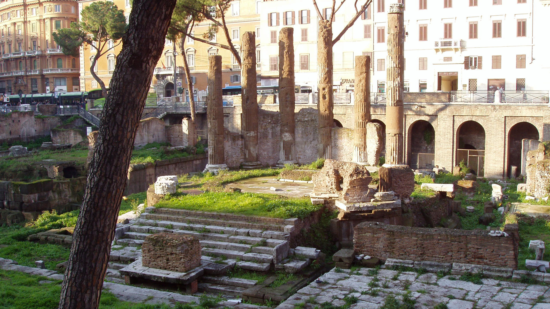 Largo di Torre Argentina Largo di Torre Argentina