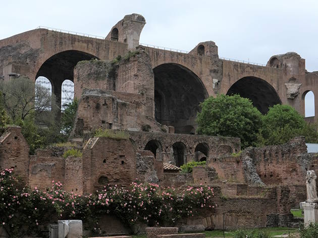 Basilica di Massenzio, ph. Simona Murrone - Parco Archeologico del Colosseo