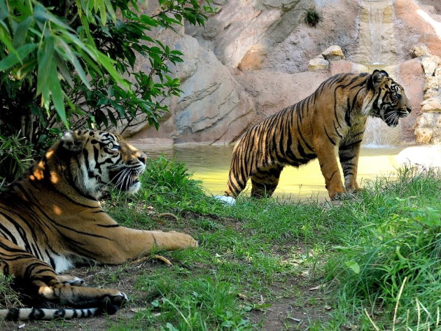 Bioparco di Roma Bioparco di Roma