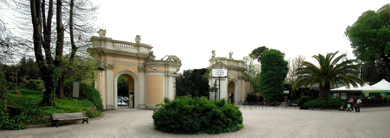 Bioparco@Massimiliano Di Giovanni – Archivio Bioparco Bioparco@Massimiliano Di Giovanni – Archivio Bioparco