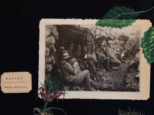 C’è tempo per le nespole. Nuove narrazioni dalla Grande Guerra-Foto: sito ufficiale dell'Istituto Centrale per il Catalogo e la Documentazione C’è tempo per le nespole. Nuove narrazioni dalla Grande Guerra-Foto: sito ufficiale dell'Istituto Centrale per il Catalogo e la Documentazione