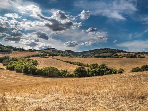 Ponte Lupo, il gigante dell'acqua - IV Festival dell'Agro romano antico - Delegazione FAI di Roma-Foto: Pixabay