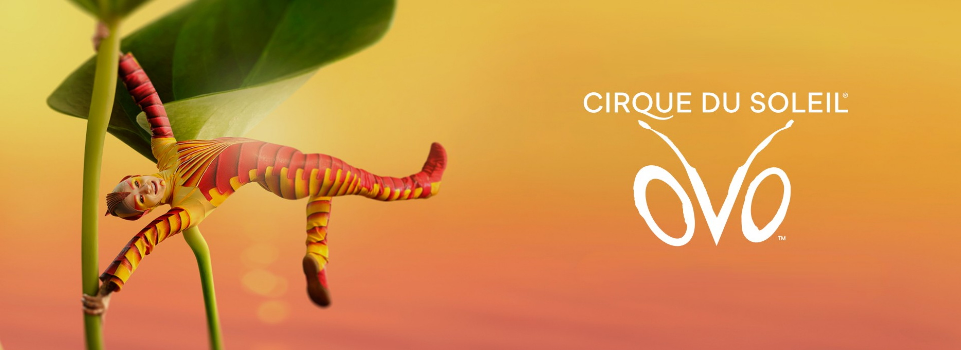 Cirque du Soleil - Ovo