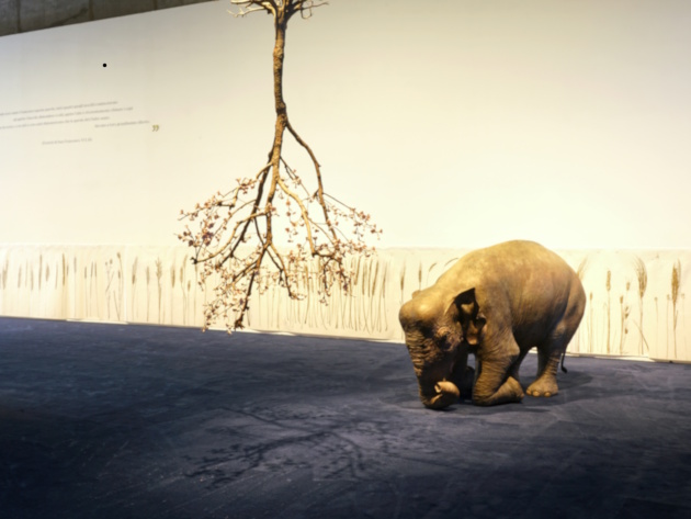 Creature Creatori foto ®LuisDoRosario, courtesy Fondazione MAXXI
