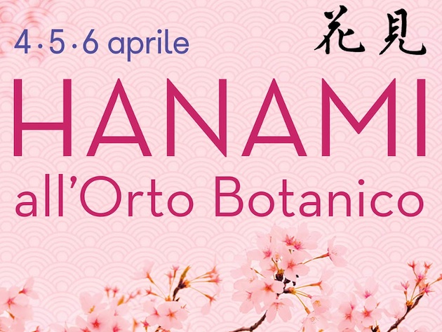 Hanami all'Orto Botanico-Foto: locandina ufficiale della manifestazione Hanami all'Orto Botanico-Foto: locandina ufficiale della manifestazione