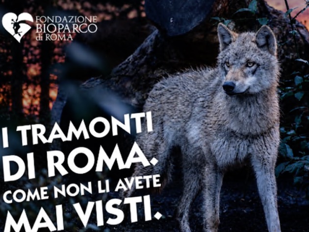 Il Bioparco al Tramonto-Foto: locandina ufficiale della manifestazione