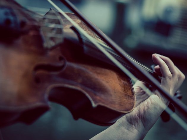 Istituzione Universitaria dei Concerti - IUC 78a Stagione 2022-23-Foto Pixabay Istituzione Universitaria dei Concerti - IUC 78a Stagione 2022-23-Foto Pixabay