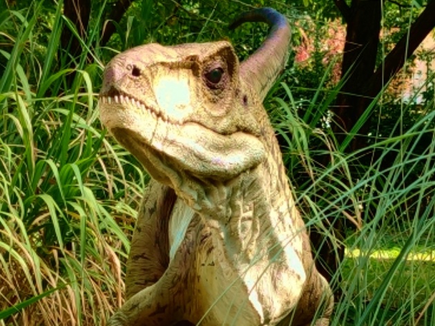 L’Impero dei Dinosauri-Foto: sito ufficiale dell'Università La Sapienza L’Impero dei Dinosauri-Foto: sito ufficiale dell'Università La Sapienza