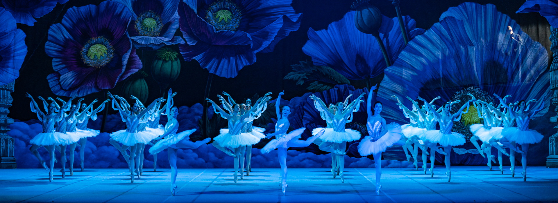 La Bayadère ph Fabrizio Sansoni-Opera di Roma 2023