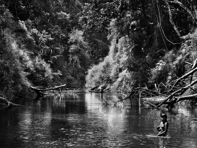 La foresta dell’Amazzonia-Foto: sito ufficiale dell'Auditorium Parco della Musica