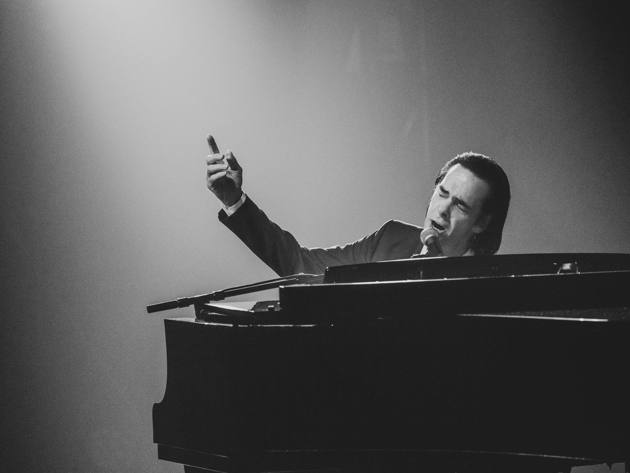 Nick Cave ph. Sasha Lecca