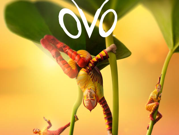 Cirque du Soleil - Ovo
