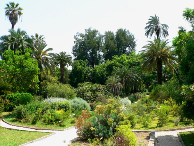 Rome Botanical Garden