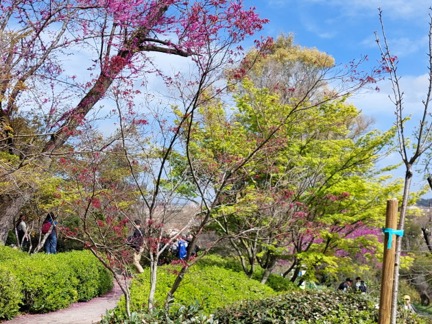 Orto Botanico