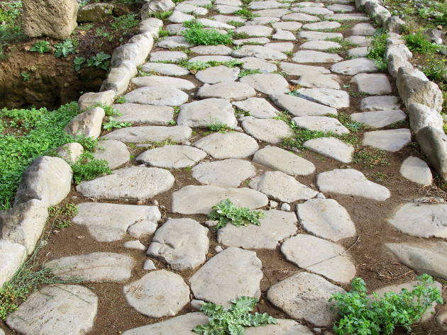 Parco Archeologico di Veio-Foto: di Marco Scataglini - Parco Archeologico di Veio Campetti, particolare della strada Parco Archeologico di Veio-Foto: di Marco Scataglini - Parco Archeologico di Veio Campetti, particolare della strada