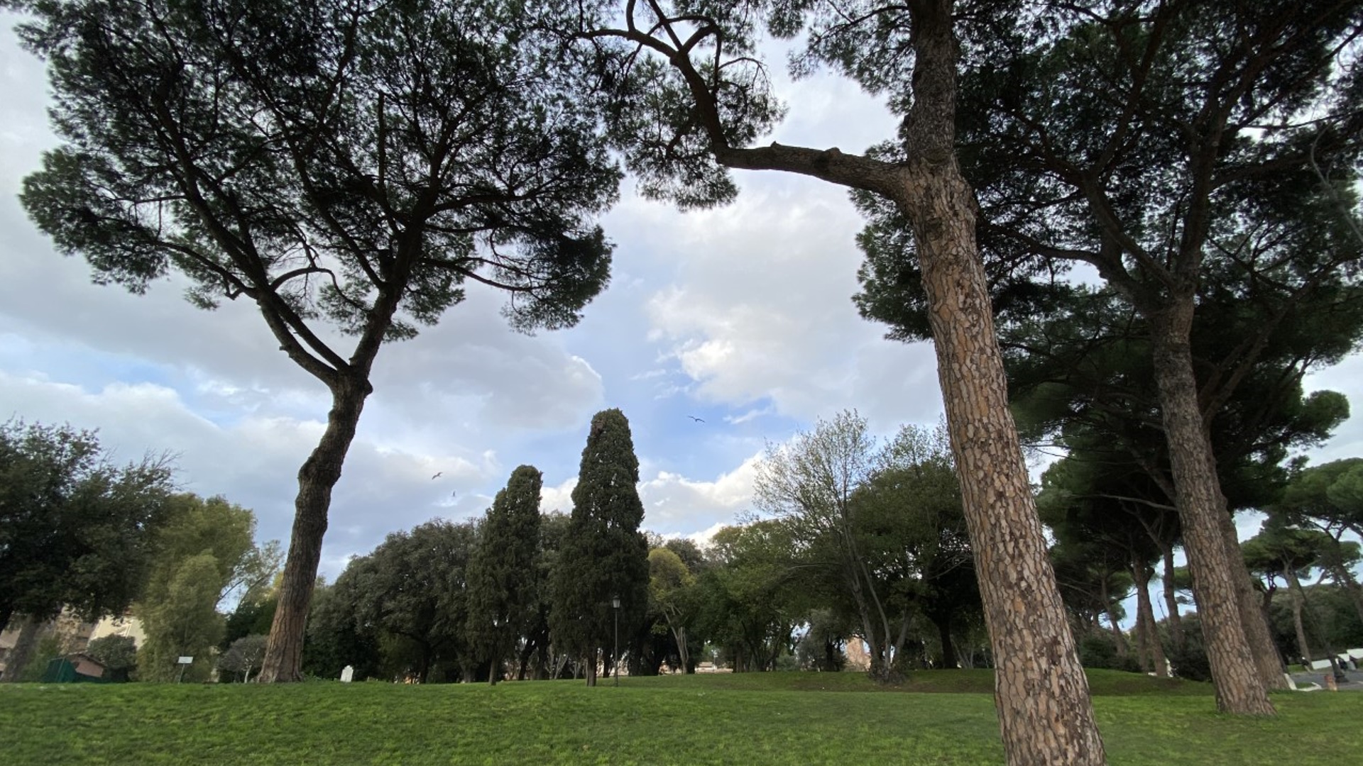 Parco di Colle Oppio e delle Terme di Traiano