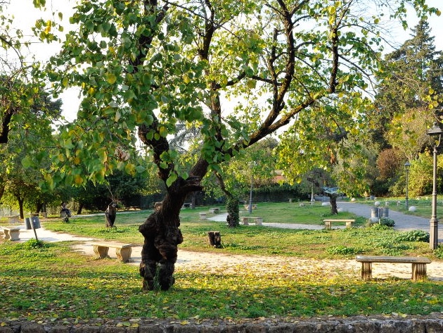 Parco di San Gregorio al Celio-Foto: Sovrintendenza Capitolina Parco di San Gregorio al Celio-Foto: Sovrintendenza Capitolina