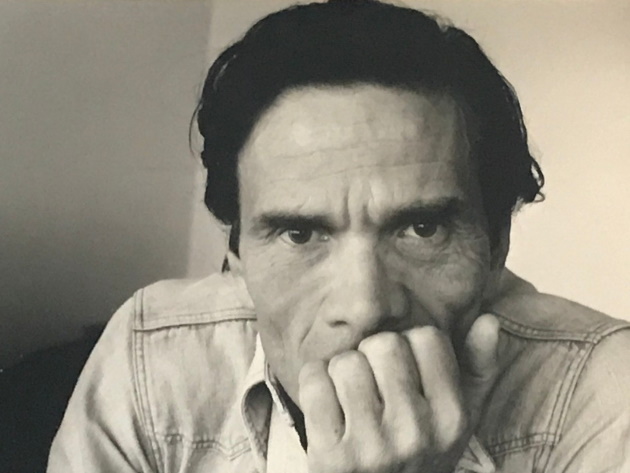 Pasolini - Rhinoceros