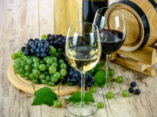 Vino Vino