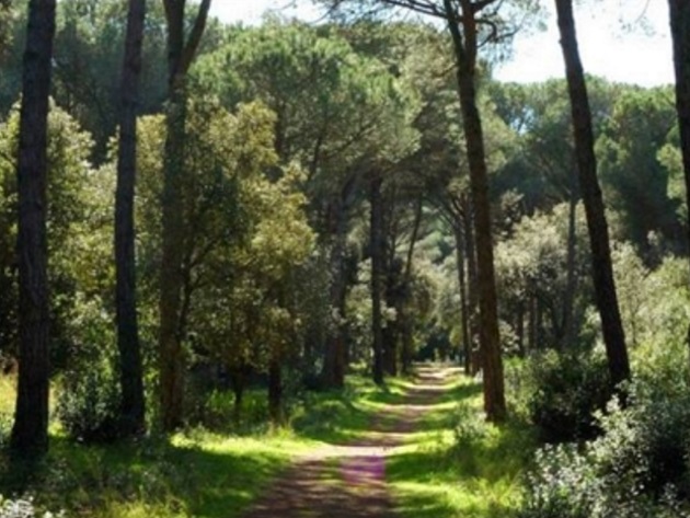 Riserva Naturale Statale del Litorale Romano (Pineta di Castelfusano) Riserva Naturale Statale del Litorale Romano (Pineta di Castelfusano)
