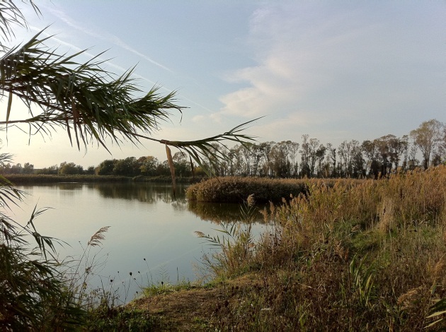 Riserva Naturale statale Litorale Romano