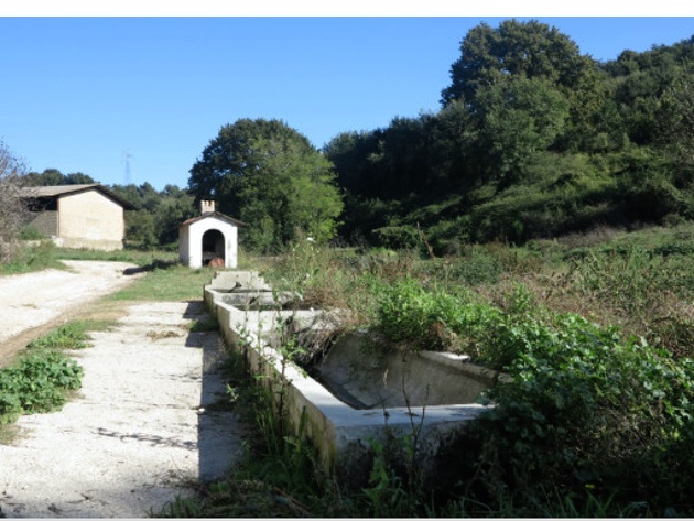 Riserva Naturale della Marcigliana foto sito ufficiale Riserva