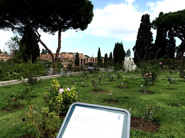 Roseto Comunale Ph. Turismo Roma