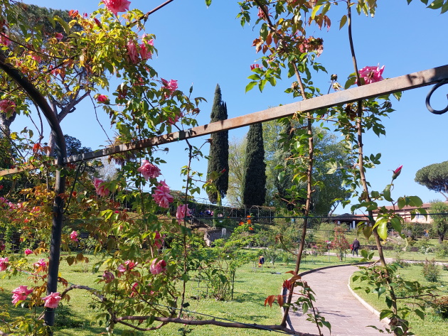 Roseto comunale Roseto comunale