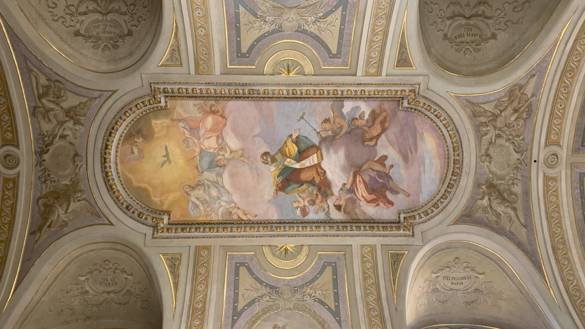 Chiesa di San Nicola dei Prefetti - Gloria di San Nicola Chiesa di San Nicola dei Prefetti - Gloria di San Nicola