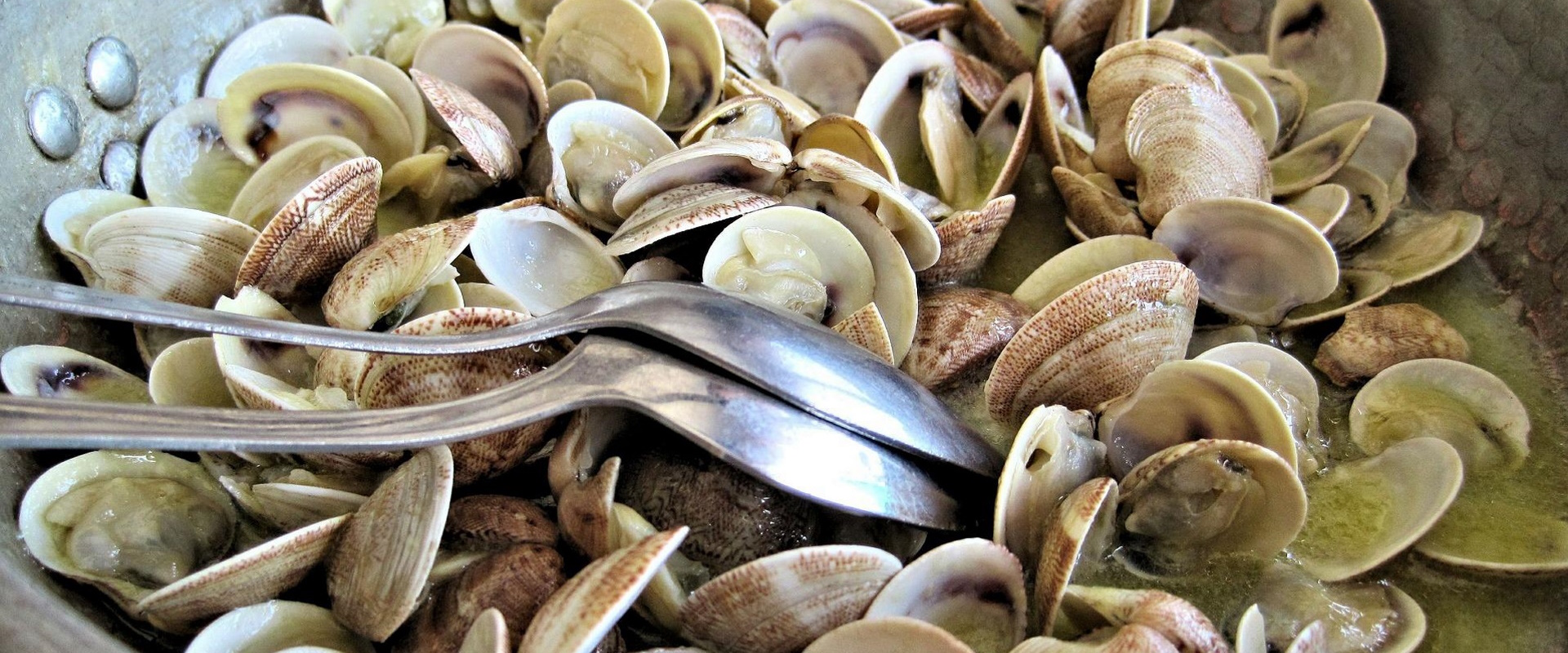 Sauté di Lupini o di Cannolicchi