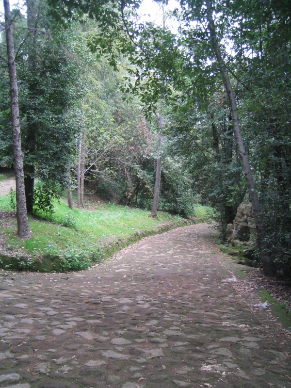Parco Mellini Parco Mellini