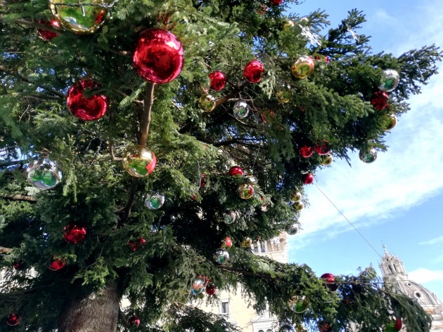 Albero Di Natale Roma 2020.Arriva Il Grande Albero Di Natale Spelacchio A Piazza Venezia Turismo Roma