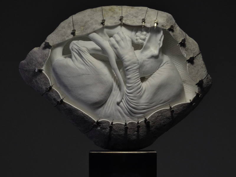 Sphynx, 2015 ph. Jago Sphynx, 2015 ph. Jago