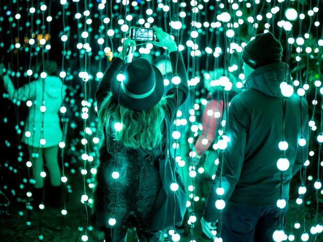 Trame di Luce - Installazione  - Carillon di luci all'Orto Botanico di Roma