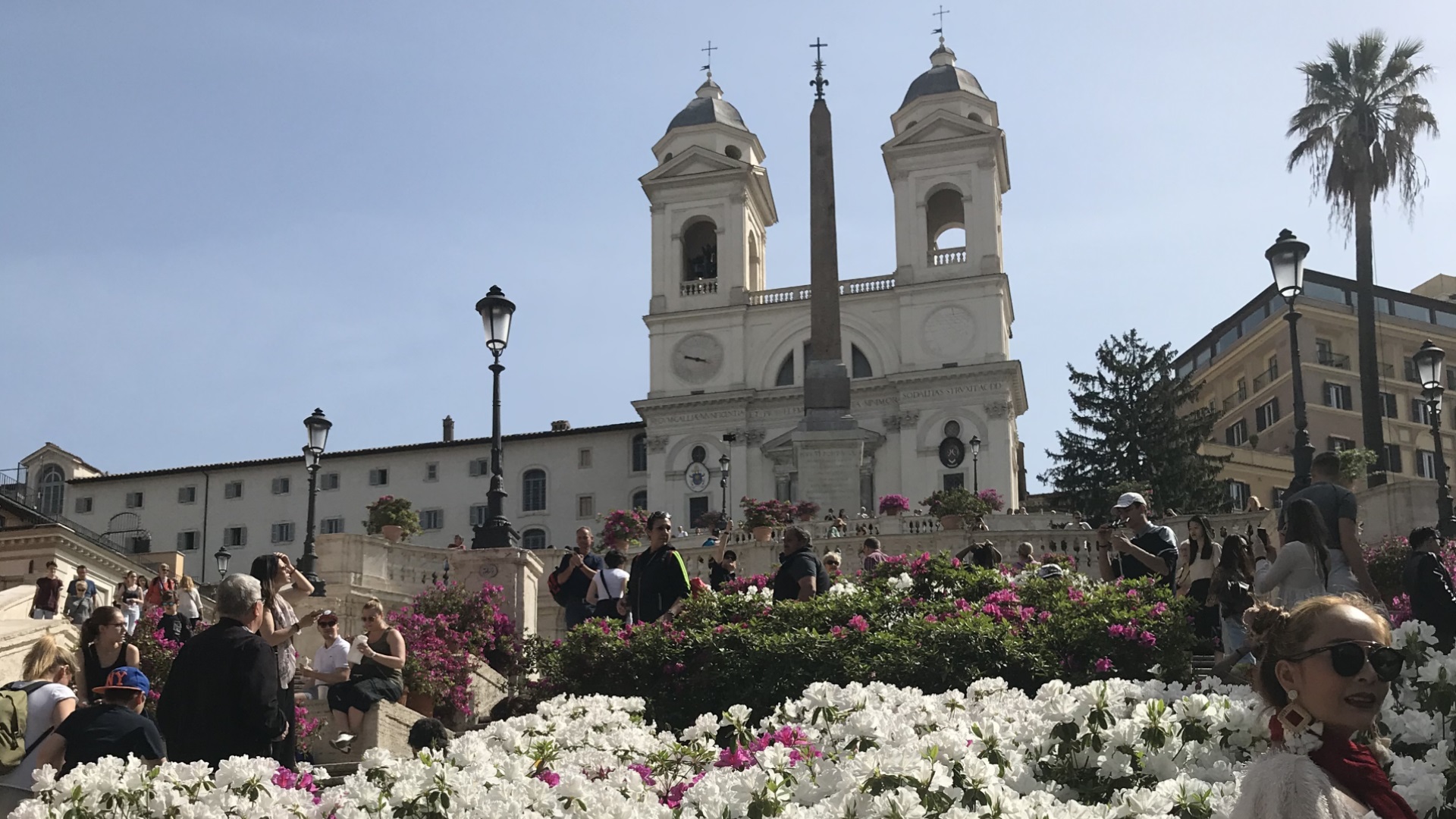 Azalee Scalinata Trinità dei Monti