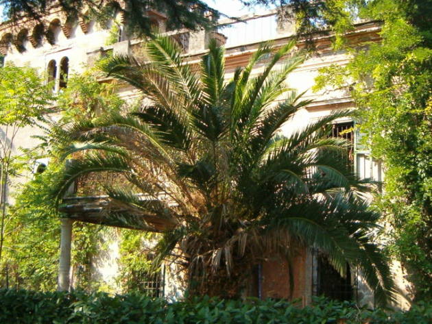 Villa Flora-Foto: Sovrintendenza Capitolina Villa Flora-Foto: Sovrintendenza Capitolina