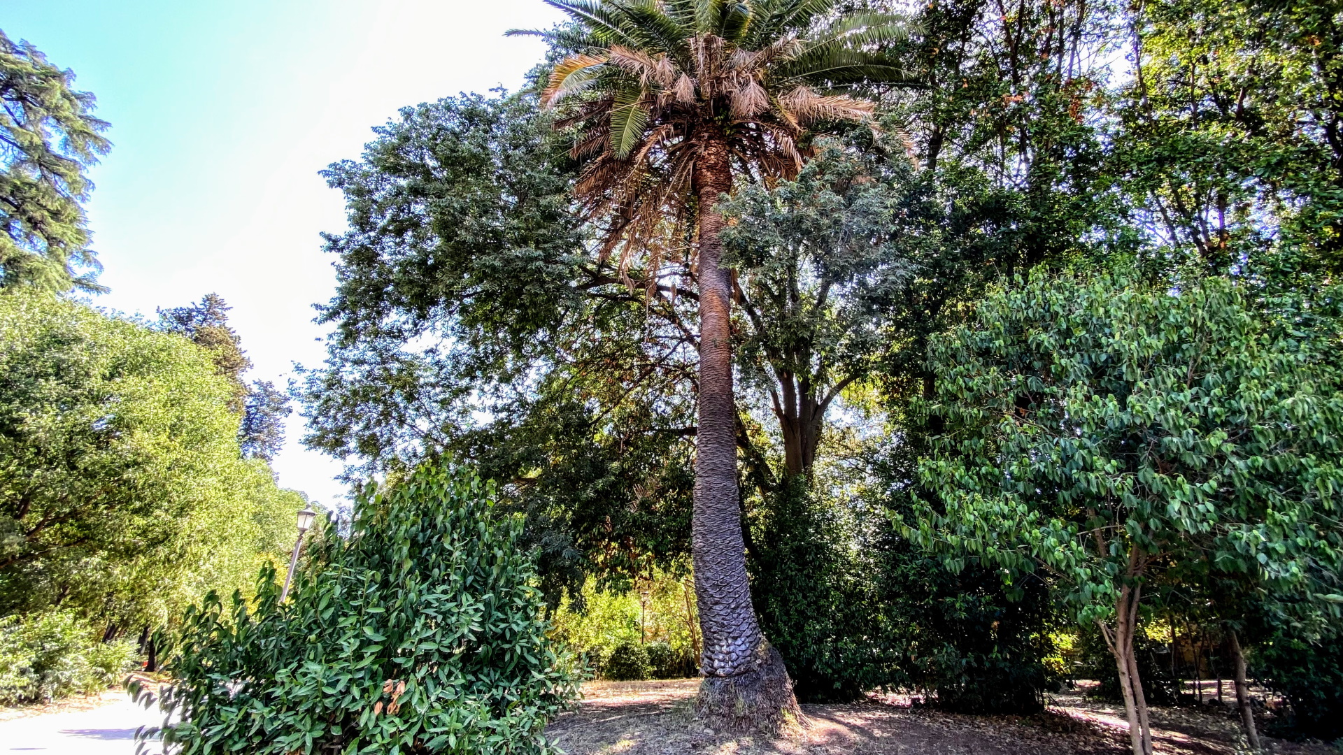 Villa Lazzaroni@Redazione Turismo Roma Villa Lazzaroni@Redazione Turismo Roma