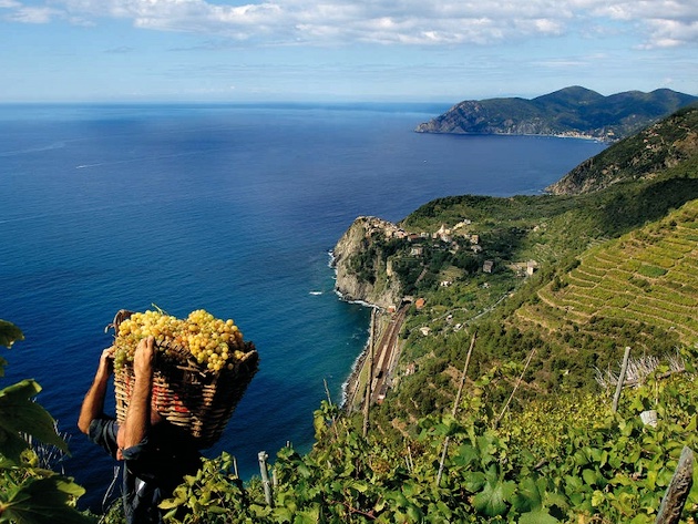 Vini da Terre Estreme-Foto: sito ufficiale di Vini da Terre Estreme Vini da Terre Estreme-Foto: sito ufficiale di Vini da Terre Estreme