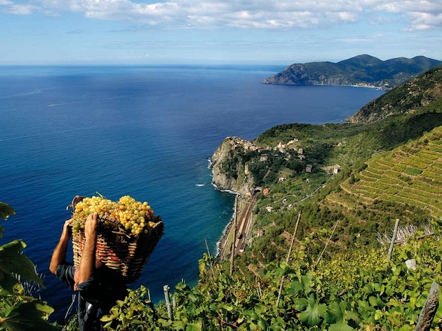 Vini da Terre Estreme-Foto: sito ufficiale di Vini da Terre Estreme