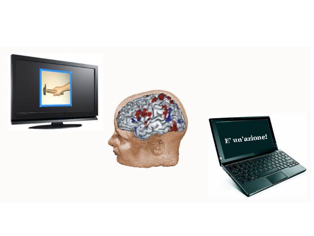 ohbm 2019 ohbm 2019