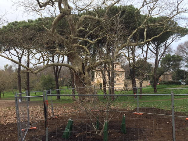 Foto profilo ufficiale Facebook Amici di Villa Borghese Foto profilo ufficiale Facebook Amici di Villa Borghese