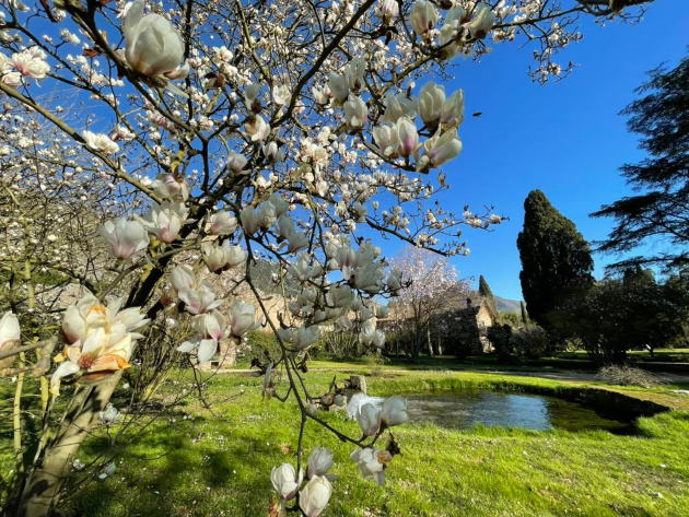 Foto profilo ufficiale Facebook Giardino di Ninfa Foto profilo ufficiale Facebook Giardino di Ninfa