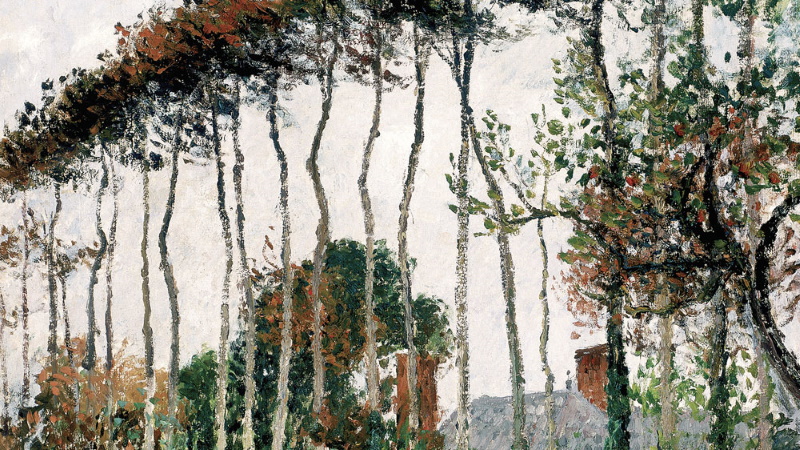 Palazzo Bonaparte - Impressionisti segreti Palazzo Bonaparte - Impressionisti segreti