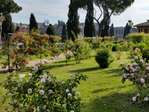 Roseto comunale Roseto comunale