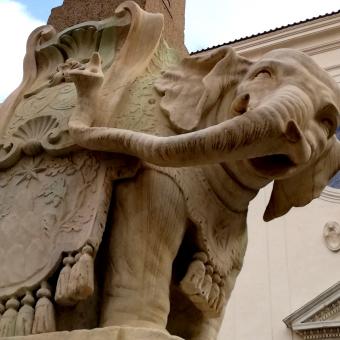 Elefantino - Piazza della Minerva