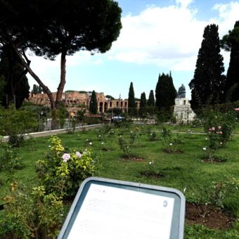 Roseto Comunale Ph. Turismo Roma