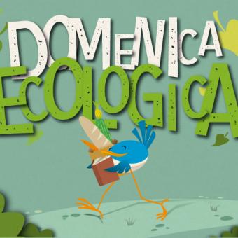 22 febbraio 2026 - Quarta Domenica Ecologica
